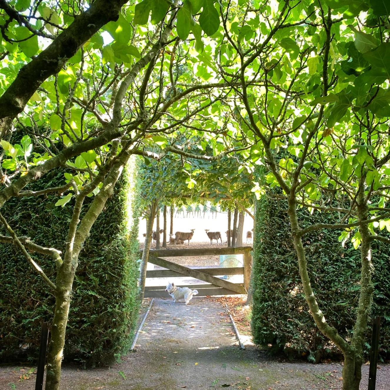Stablehouse Garden Shed Villa Masterton Eksteriør bilde